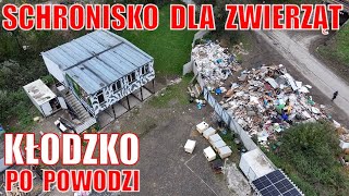 Schronisko dla zwierząt w Kłodzku po powodzi [upl. by Souza]