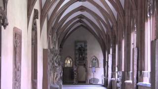 Mainz Cathedral Mainz Rhineland Palatinate Germany  6th August 2014 [upl. by Soluk]