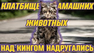 Кладбище Домашних Животных 2019  Обзор хоррор фильма [upl. by Abihsot953]