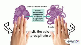 ISOELECTRIC OF CASEIN [upl. by Eve]