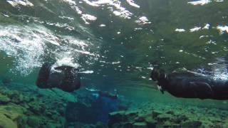 Snorkeling between American and European tectonic plates  Silfra Iceland [upl. by Lleret]