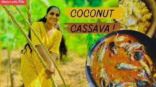 Best Cassava RecipeManioc recipe  With spicy fish curry 🌶🥥🔥😱 in village Kitchen [upl. by Ishmael558]