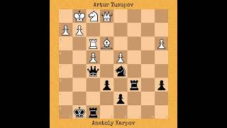 Yusupov vs Karpov  Candidates Match 1989 chess [upl. by Whetstone]