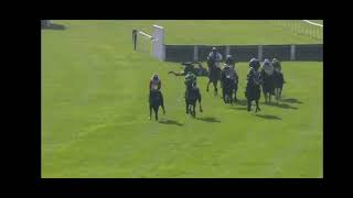 Another one murdered RIP Broomfield Burg at Ascot Ban horse racing [upl. by Tigram184]