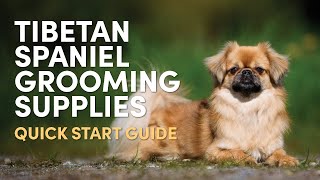 Tibetan Spaniel Grooming Supplies Quick Start Guide [upl. by Dominy]