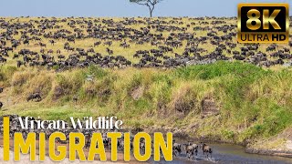 4K African Animals The Great Migration Bwabwata National Park  Scenic Wildlife Film [upl. by Florine182]