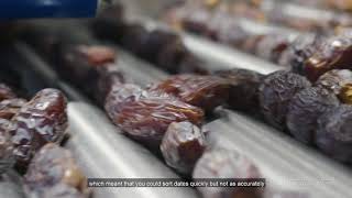 Amazing Medjool Dates Fruit Farming and Factory  Artificial Intelligence Date Processing Technology [upl. by Grevera]