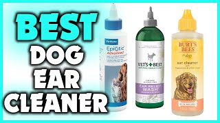 5 Best Dog Ear Cleaner in 2022 [upl. by Nosde908]