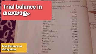 Trial balance in malayalam  Trial balance class 11 malayalam [upl. by Okimuy]