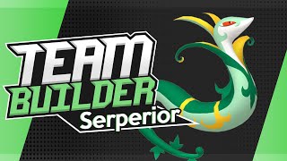 Pokémon Team Builder Reimagined  Best Serperior Team  Black amp White [upl. by Ripley]