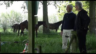 Oud Zevenaar in Vogelvlucht trailer movie [upl. by Jerman]