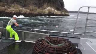 CRAYFISHING ON THE WESTCOAST OF TASMANIA NICE FOOTAGE [upl. by Edison]