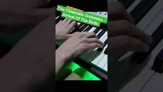 The Cinematic Orchestra  Arrival Of The Birds Shorts Piano Cover by Lonely Key [upl. by Ahsirat]