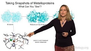 Catherine Drennan MITHHMI Part 1 Introduction to Metalloproteins [upl. by Halladba]