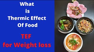 Thermic Effect Of Food Energy Expenditure  Nutrition Doctor [upl. by Ulani]