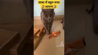 oo antava mama song video comedy video viral trending video viral video ho gaya hai [upl. by Warp]