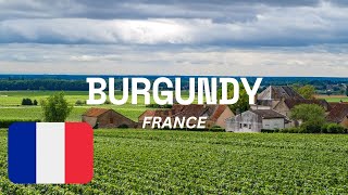 BURGUNDY FRANCE A HAVEN OF HISTORY CULTURE AND CULINARY DELIGHTS  Things Do amp Guide burgundy [upl. by Dyke]