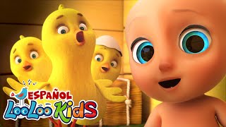 🐤🐥Los Pollitos Dicen Pio Pio  Conejitos dormilones  Canciones Infantiles para niños  LooLoo [upl. by Teodorico11]