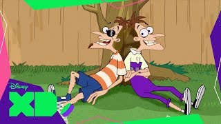 Nova Realidade  Phineas e Ferb [upl. by Mayes]