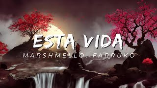 Marshmello Farruko  Esta Vida Letra  Lyrics  NotRickyy [upl. by Hannover736]