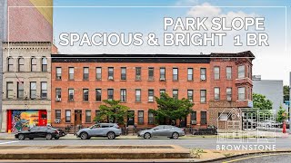 Newly Updated Spacious and Bright 1 br Park SlopeGowanus [upl. by Nwahsyt409]