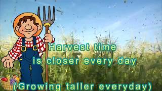 Harvest  Growing Growing taller every day Little Kids Praise [upl. by Darach]