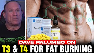 T3 amp T4 How To FORCE Fat Burning [upl. by Hadrian]