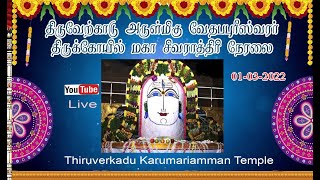 Thiruverkadu Mahasivarathi Live [upl. by Barmen]