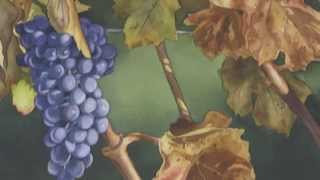 Watercolor Grapes amp Leaves Preview [upl. by Leryt606]