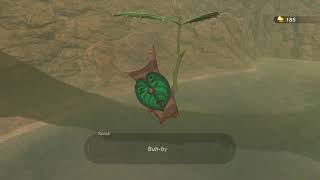 Korok seeds  Tarrey Town  Akkala Tower 47  Zelda BOTW [upl. by Iaka305]