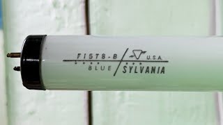 vintage NOS Sylvania F15T8B 15W T8 Blue blackender fluorescent tube [upl. by Earized936]