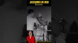 Lecciones de Box cantinflas [upl. by Athalie]