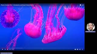 Video clase Cnidarios generalidades y clase hidrozoa [upl. by Lorri]