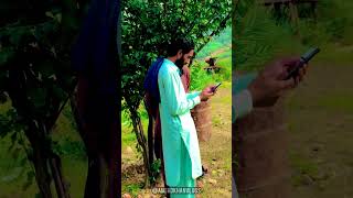 Dhola Main Mar Wanja  Nemat Niazi  New saraiki Song  Viral Saraiki Song Shorts viral [upl. by Emoreg]