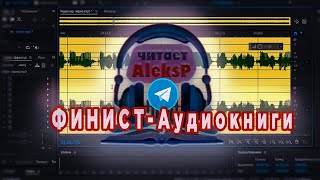 Как сделать аудиокнигу ФИНИСТ Аудиокниги в Telegram [upl. by Aikemehs986]