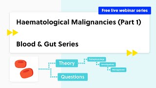 Haematological Malignancies Part 1 casebased discussion theory and quiz [upl. by Cinnamon661]