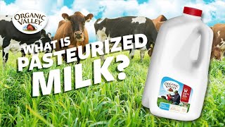 What is Pasteurized milk  Ask Organic Valley [upl. by Orapma]