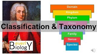 Classification and Taxonomy [upl. by Bertrando]