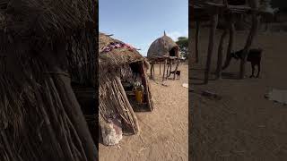 Interior de una casa Nyangatom ethiopia reels africa [upl. by Poock875]