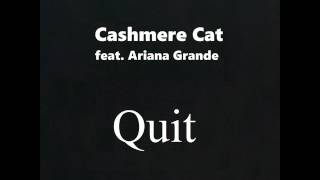 Cashmere Cat ft Ariana Grande  Quit Cover [upl. by Joceline]