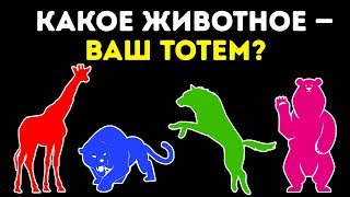 Тест Какое Животное — Ваш Тотем [upl. by Carling]