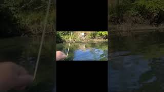 Fly Fishing For Wild Trout On The Dry Sea Trout Small Scottish river [upl. by Odraner513]