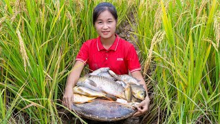 Harvesting Natural Fish Without Impurities  Ella TV [upl. by Mushro]