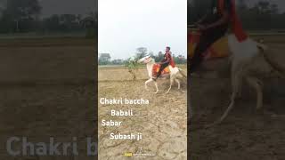 Babali ka jalba [upl. by Berkshire]