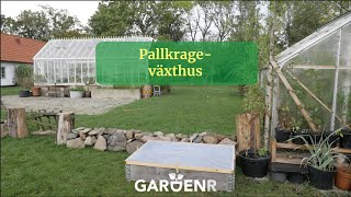 Pallkrageväxthus  Trädgårdshacks med GardenR [upl. by Burger37]