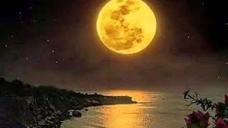 Dheere se mere kaan main sargoshi kay bad Roya tha or ro kay chalne laga tha chand by Rani [upl. by Aderfla]