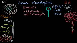 Examen neurologique  Introduction  Docteur Synapse [upl. by Anali382]