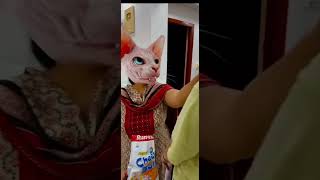 Mummy chips kha kar billi ban gayi wait for twist shorts youtubeshorts gauravaroravlogs [upl. by Rasec]