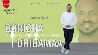 Qoricha DhibamaaYadesa ShiriOfficial Vedio [upl. by Ezzo]