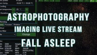 ASTROPHOTOGRAPHY LIVE STREAM Elephants Trunk Nebula 1024 FALL ASLEEP [upl. by Auqined]